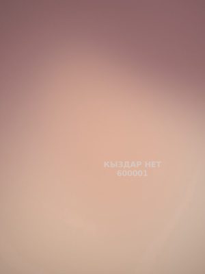Проститутка Астаны Анкета №600001 Фотография №1