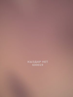Проститутка Алматы Анкета №600019 Фотография №1