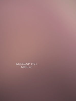 Проститутка Алматы Анкета №600028 Фотография №1