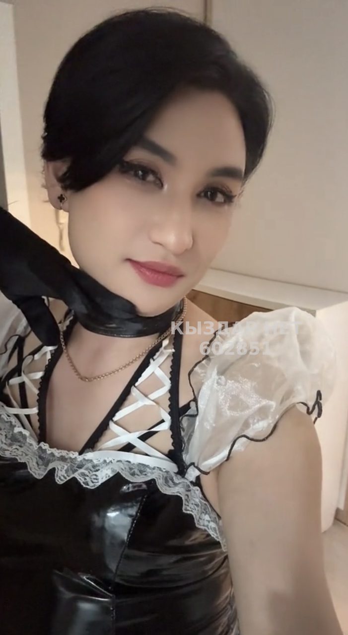 Транс Павлодара Анкета №602851 Фотография №1