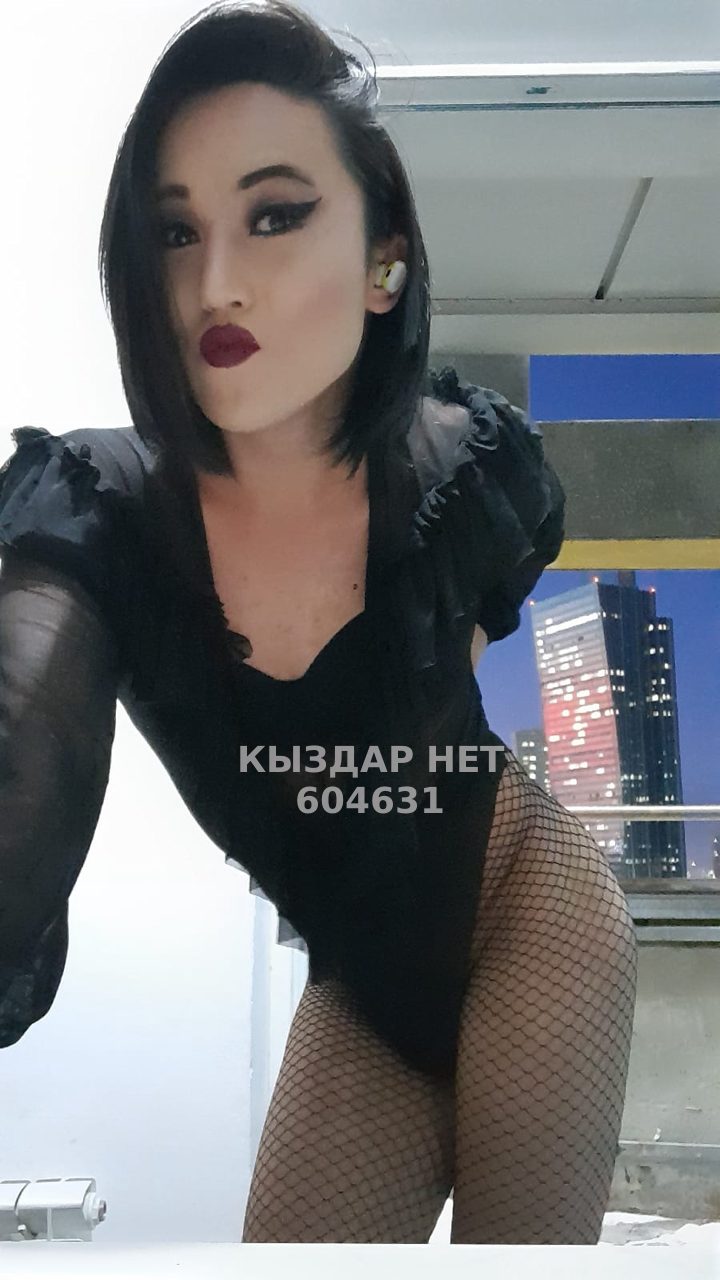 Транс Шымкента Анкета №604631 Фотография №1