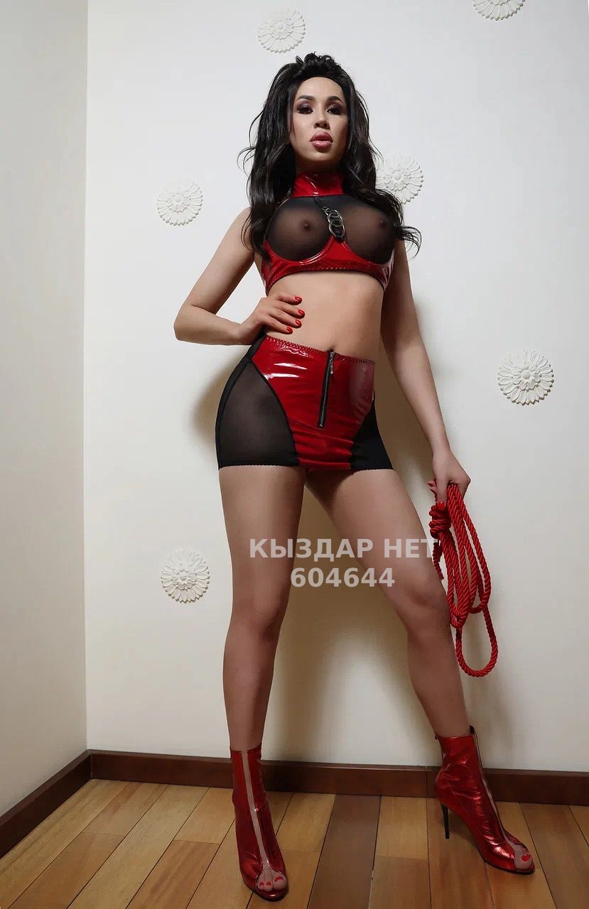 Транс Алматы Анкета №604644 Фотография №1