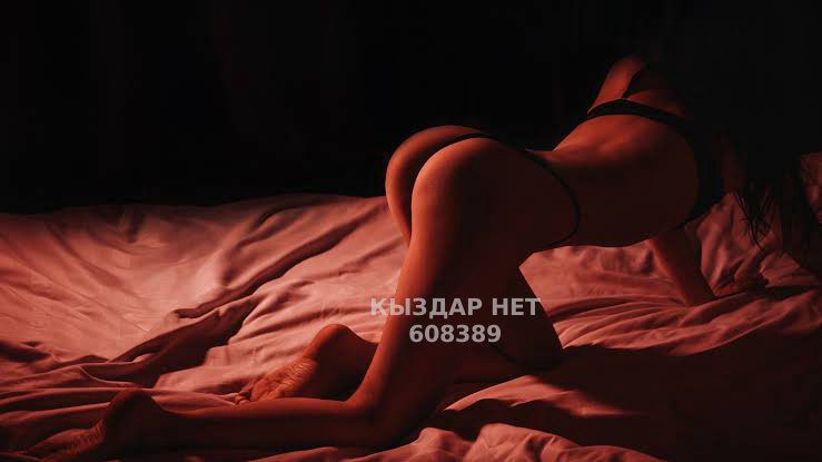 Проститутка Алматы Анкета №608389 Фотография №1